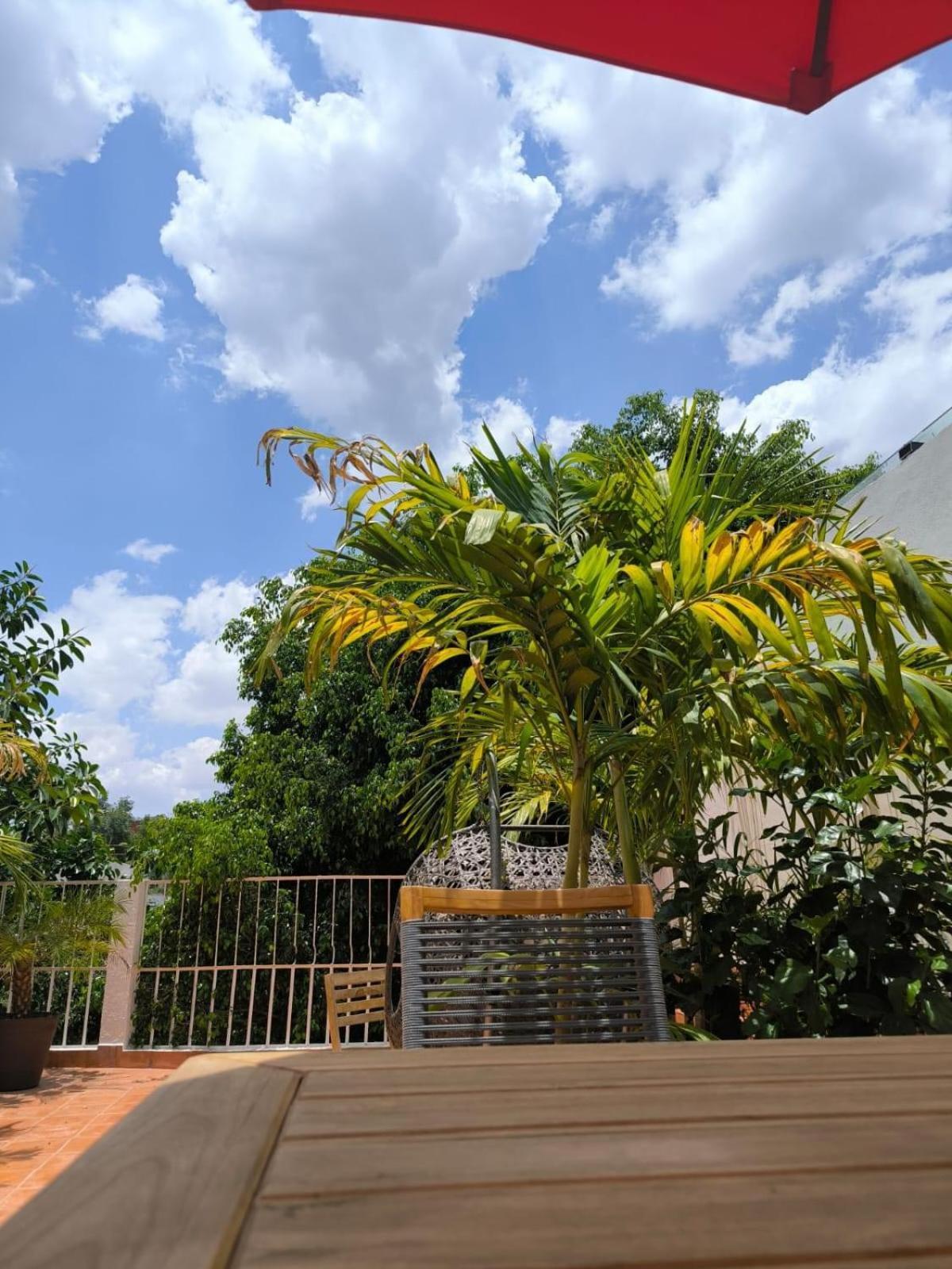 Casa Frida Condesa Bed & Breakfast Ciudad de México Exterior foto